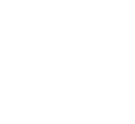 Aletsu — Transporte Privado & Turístico